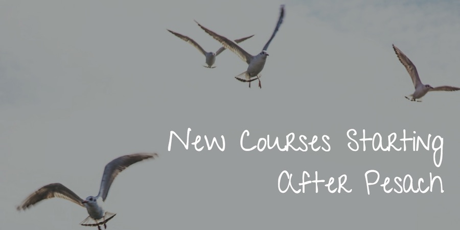 Seagulls as backdrop for text new courses starting after pesach