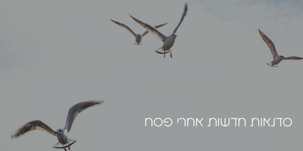 שחפים וטקסט סדנאות חדשות אחרי פסח